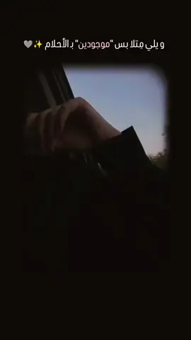 موجودين بـ الأحلام ، بـ الأوهام ، بـ المنام ✨🩶.  #بالأحلام #ناصيف_زيتون  #CapCut #capcutvelocity 