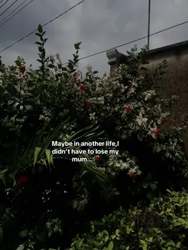 #sad#brokenquotes💔 