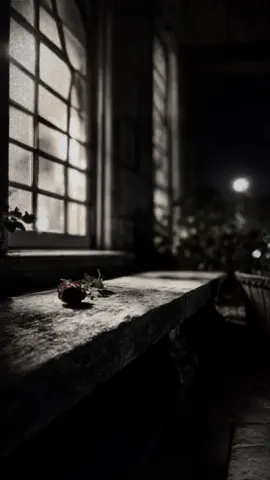 Slank || Mawar Merah  #slank #mawarmerah #lyrics #music #exmusik 