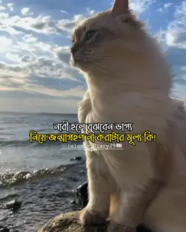 নারী হলে বুঝবেন ভাগ‌্য নিয়ে জন্মাগ্রহণ না করাটার মূল্য কি!#fyp #foryoupage #islamic_video #islamic_diary29 #viraltiktok 