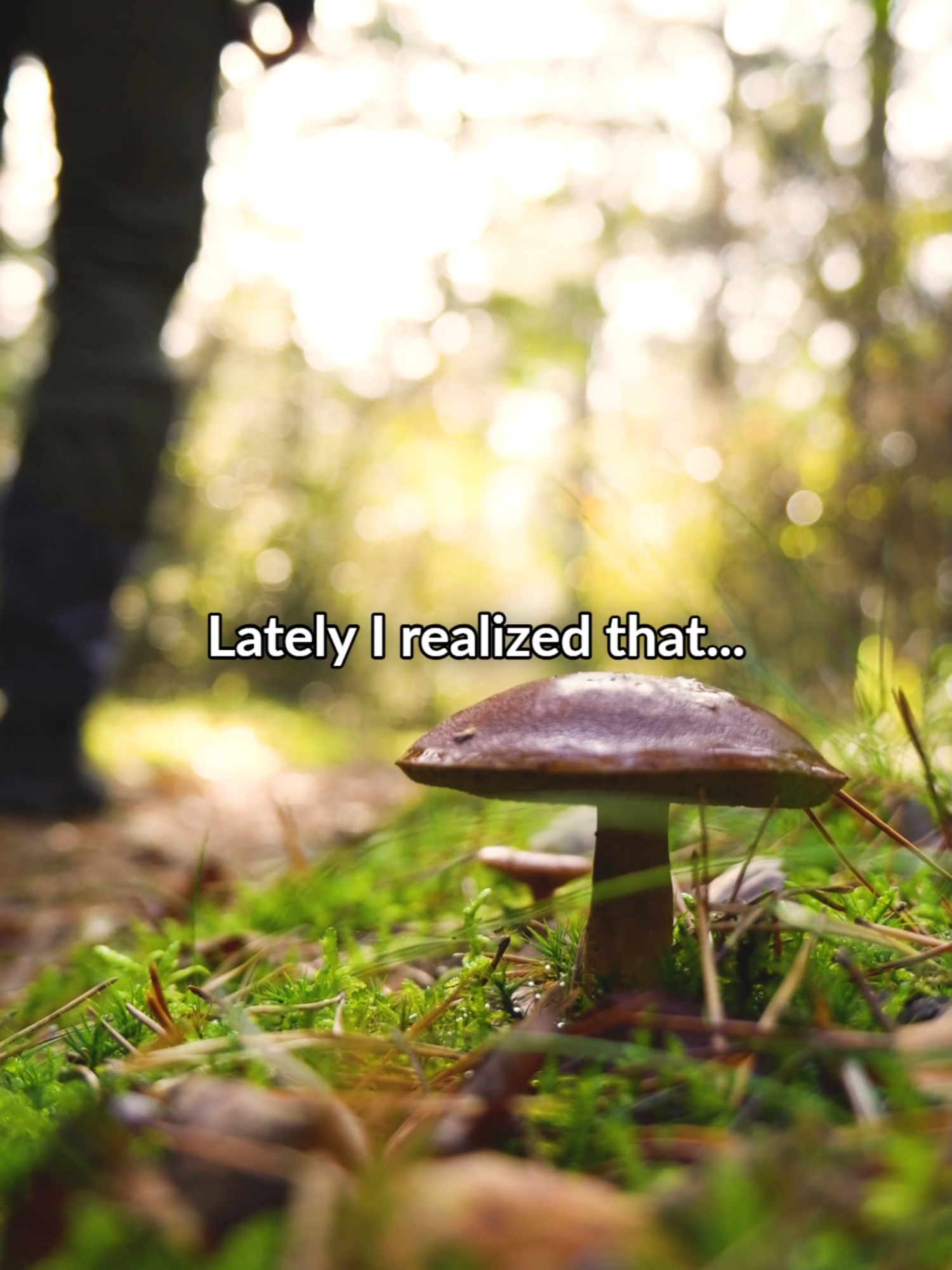 Lately I realized it’s not about motivation. It’s about self-respect. When I keep the small promises, I start to trust myself again. 🕊 #AltheaVoyage #SelfMastery #QuietStrength #DisciplineNotDrama #KeepYourPromises #Selflove #InnerJourney #SoftResilience #HealingInRealLife #BecomingMyself