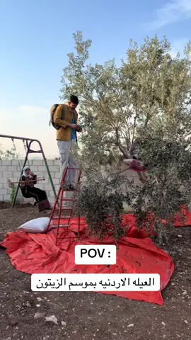 العيله الاردنيه بموسم الزيتون#شرف_المقابله #دلول #خلود #🤣🤣🤣🤣 #اكسلبور 