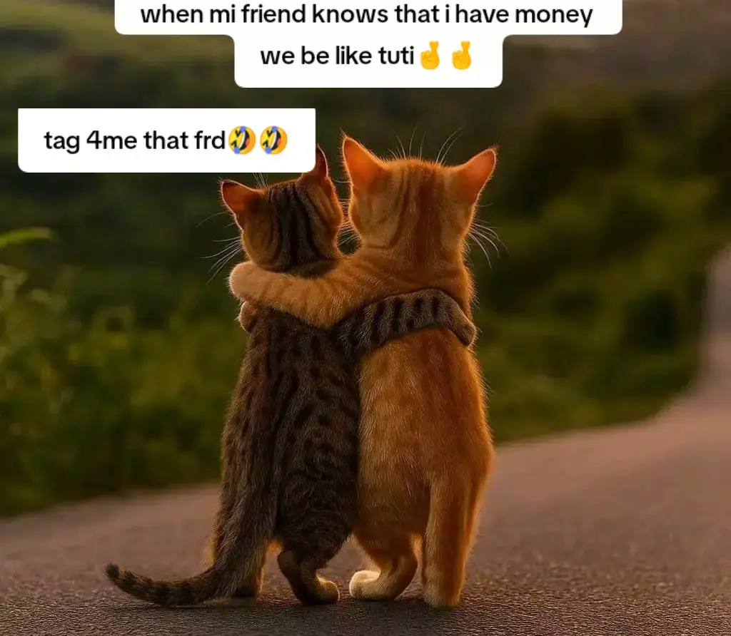 #freindsforever #goviral #fypシ゚viral #fy 