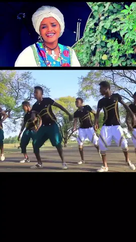 #creatorsearchinsights #hbashatiktak #ethiopian_tik_tok🇪🇹🇪🇹🇪🇹🇪🇹 #fyp 