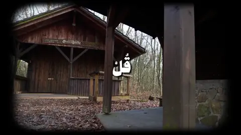 سورة : #الأنعام | القارئ : #علي_جابر                         #قران  #اذكروا_الله #راحة_نفسية