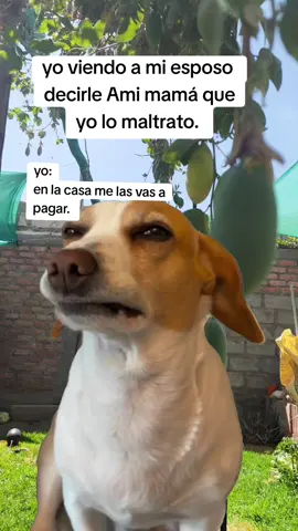 #Meme #MemeCut #CapCut 