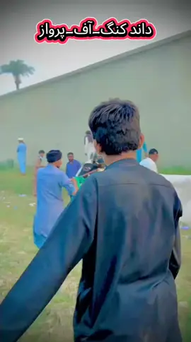 #fouyou #video #Mashallah @👑 داند فخرےلیہ 💞👑 @《♡🦅{دانــــــی•صــاحــب}♡☠》 @🥀سکھ چین گروپ👑ڈیرہ غازیخان✌️ @Punjab bail race @👑king❤️‍🔥Malanga👑 @Ch Nomi 🇬🇧🇵🇰❤️ @چیمپئن داند (پرندہ 🦅) @CH Jameel @✌️چیمپئن سندر💪💪 