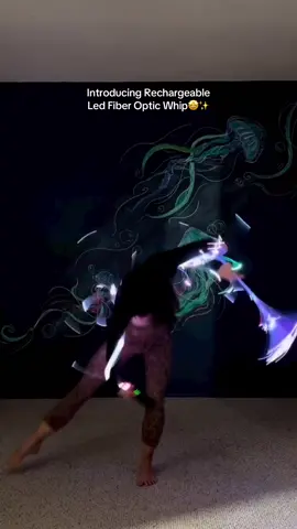 #ledfiberopticwhip #ledfiberwhip #affordablewhip 