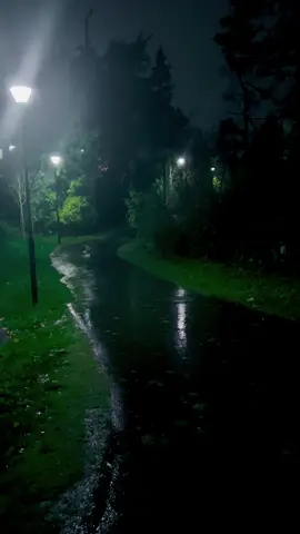 #weather #rain #aestheticvideos #bench 