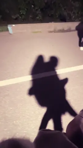 我該慶幸的是 他比冬天先到了#情侶 #冬天 