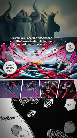 Haki Bá Vương của JoyBoy🔥 #onepiece #onepieceanime #luffy #fyp #CapCut 