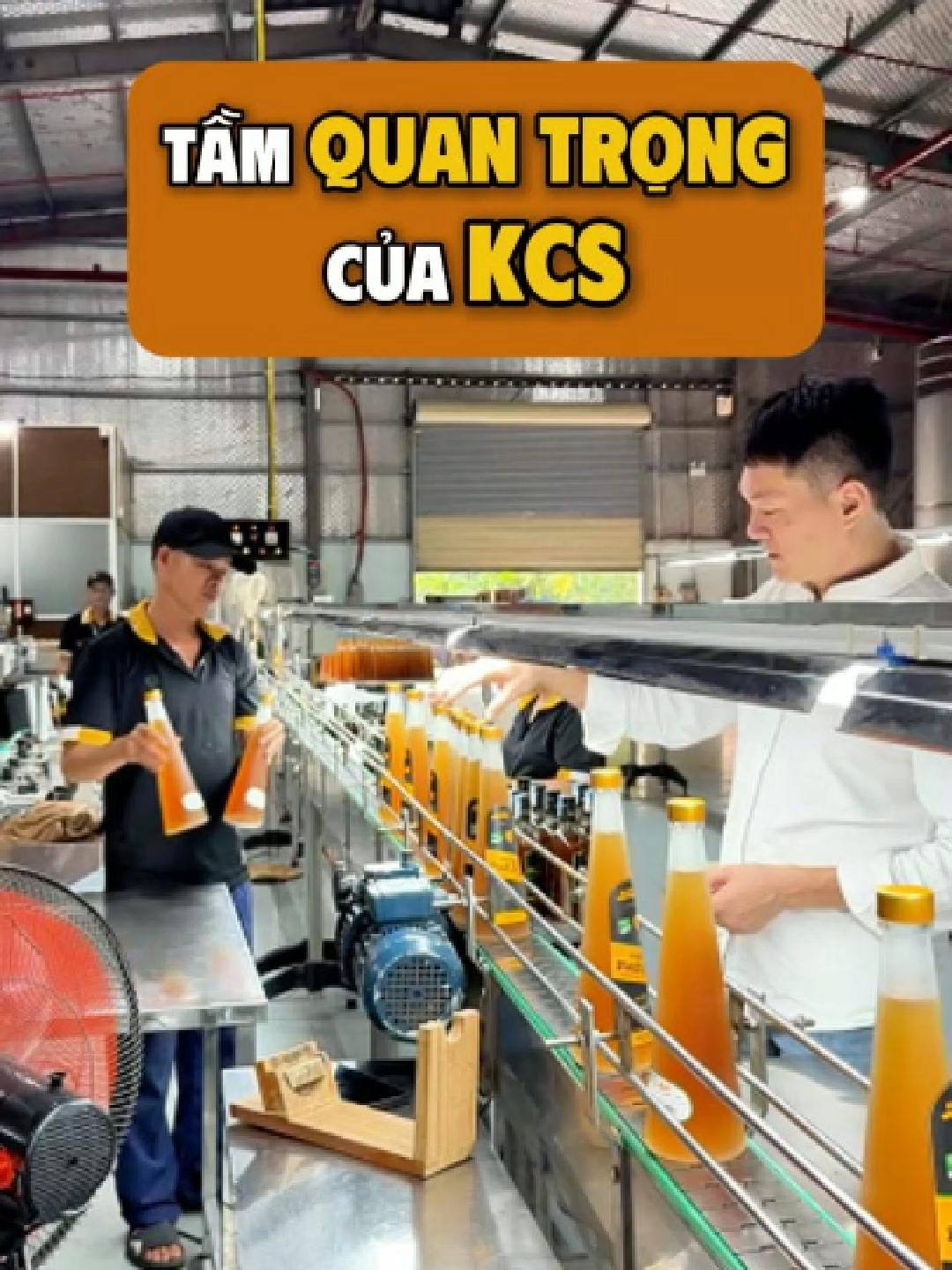 Tầm quan trọng của KCS trong sản xuất kinh doanh P19/30 sự thật về 9Chum #khanh9chum #9chum #dcgr #hanhtrinh #resortjt