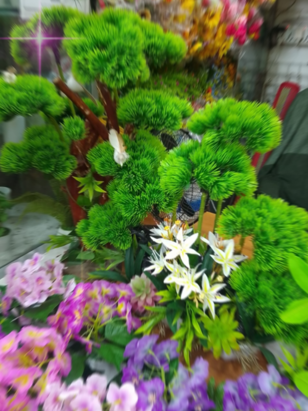 #,,###ভাইরাল_করে_দাও 