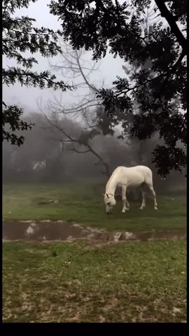 #اكسبلورررررر_طلعوه_اكسبلور_اكسبلوورر #اكسبلورررررررررررررررررررر♡♡ 