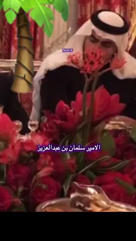 #غزالان_سلمان_عبدالعزيز #المملكه_العربيه_السعوديه🇸🇦 #اكسبلورexplore @محبين الامير سلمان غزالان @psalmanalsaud @نوف 🌴 