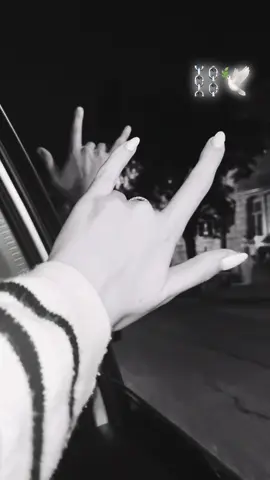 Свобода – Это Рай🕊️⛓️. #azadliq #məhbus #məhkum #kəşfet #kəşfetazərbaycan 