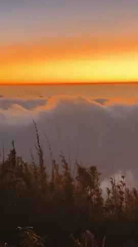 Hoàng hôn tại đỉnh Bạch Mộc Lương Tử 🥰 Quá đỉnh  #trekking #bachmocluongtu #hoanghon #sunset 