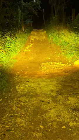 Mofox D2 Lasergun #mofox #mofoxd2lasergun #motorcycle #motorcycleaccessories #fyp 