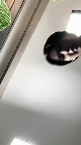 #bts #fyp #bts_official_bighit #yoongi #suga 