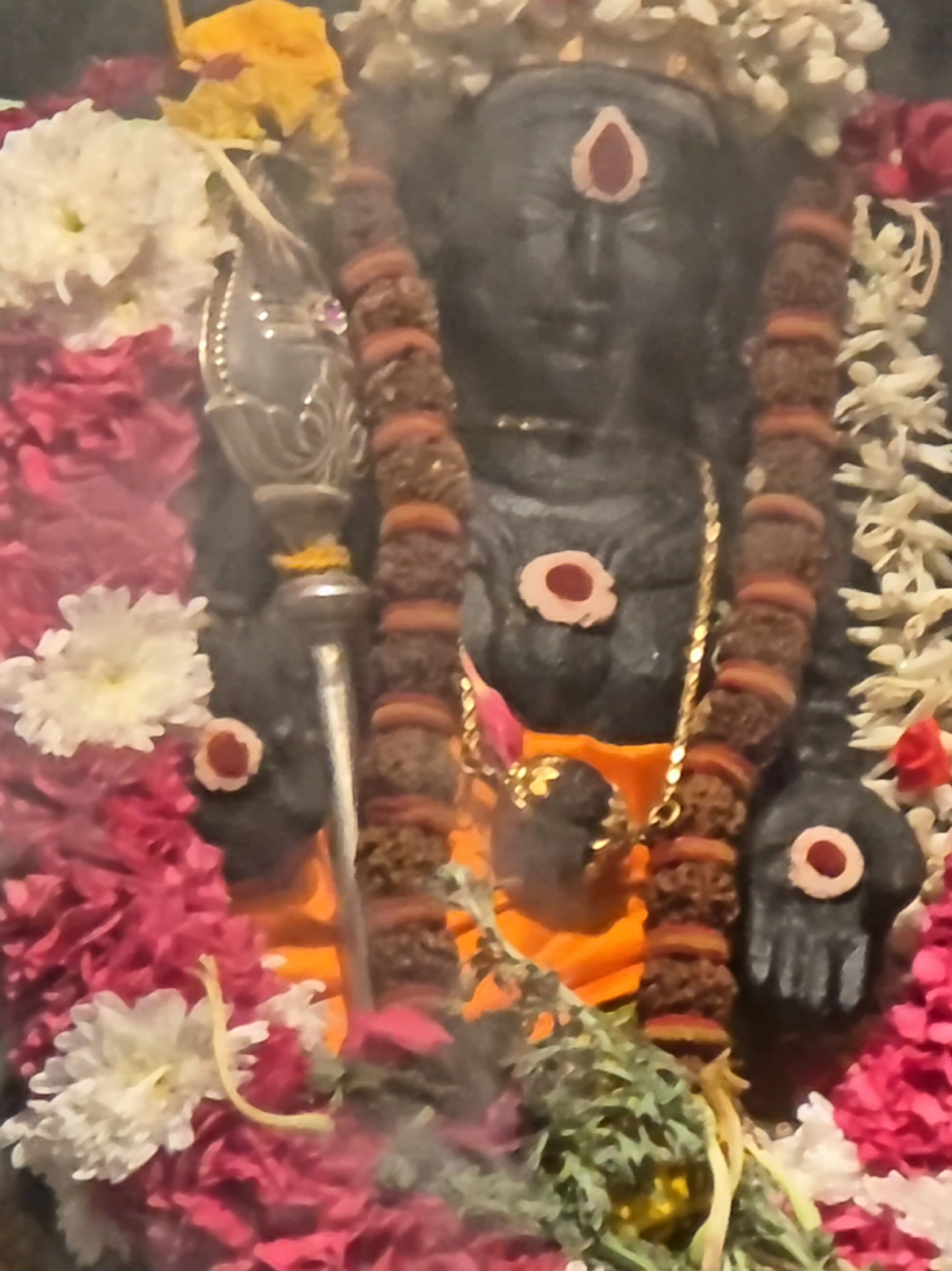 கருணை மழை பொழியும் கருவிழிகள் அந்த காட்சியில் தோன்றுவதோ பெருவழிகள் | Sri Veeramakaliamman Temple Singapore 