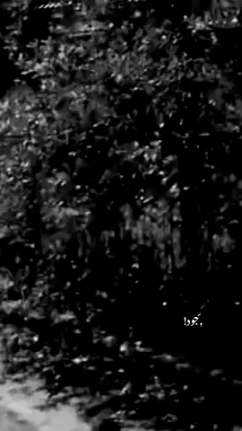 #ليش-كدب😂😂