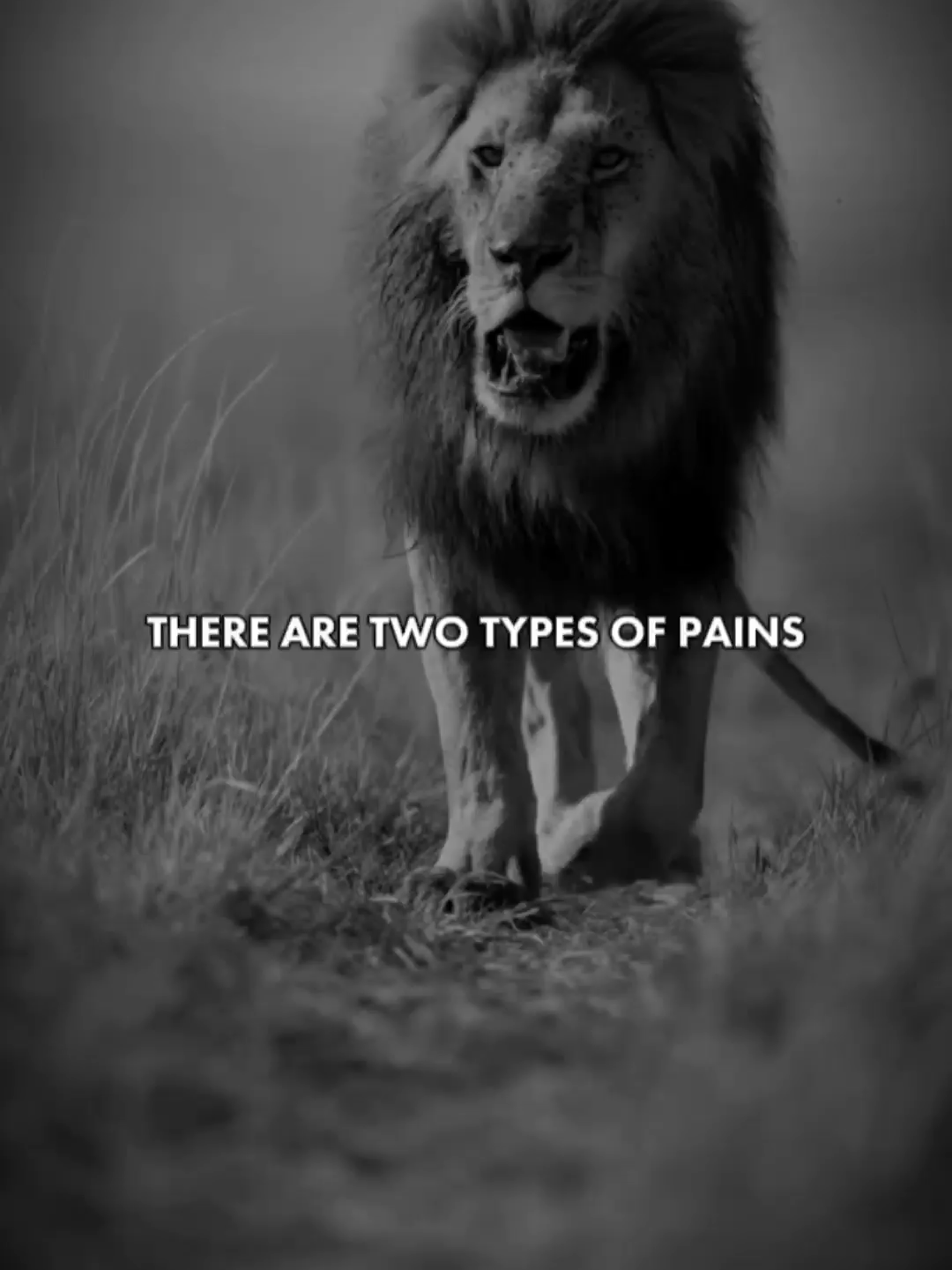 Best Motivational Quotes. Best Inspiration Quotes. Meaningful Quotes #LifeAdvice #peoplemotivation #motivationalquotes #inspirationalquotes #motivation #inspirationalquotesdaily #wisewords #motivationalvideo #wordsofwisdom #viral #motivationminute #viraltiktok #fyp