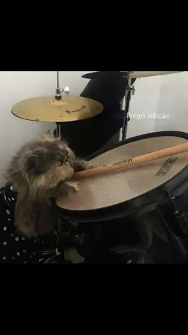 අපි හන්තර් දුව ලන්ඩන් 😾  #srilankan_tik_tok🇱🇰 #fyp #oldhits #trending #viral 