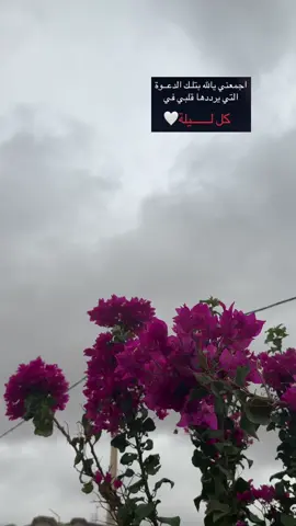 #تصويري📷 #fyp 
