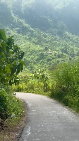 শান্তি লাগে যখন তুমাকে দেকি  #sajek_valley #100kviews✔️tiktok #foryoupage❤️❤️ #foryou #foryourpage 