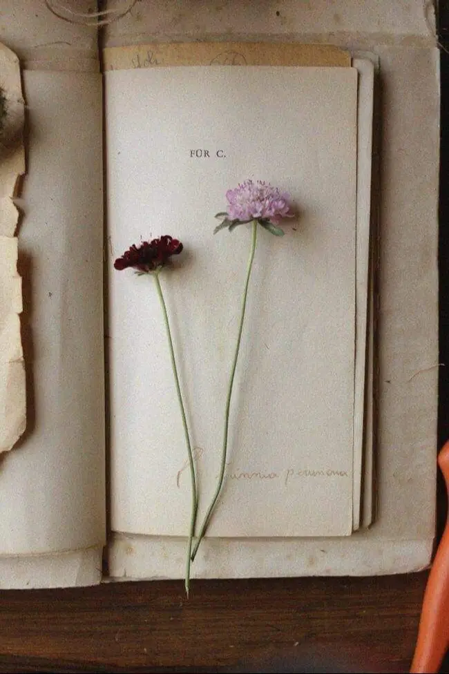 #lettering #writing #viral #lovestory #quotes 