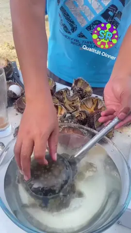 Wer mag Qualle zum Frühstück? Kalle aus Malle liebt Qualle. #deutschtiktok #salmonellenrebellen #streetfood #deutschrapnewcomer #deutschrap 