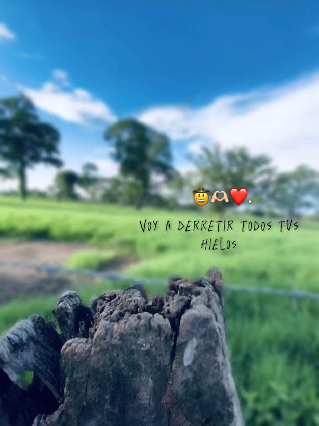 🤠🤠 #paratii #viraltiktok #xybca #fypシ゚ #reels 