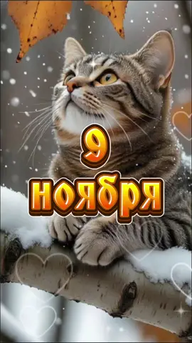 #9#ноябрь #утро #воскресенье #доброеутро 