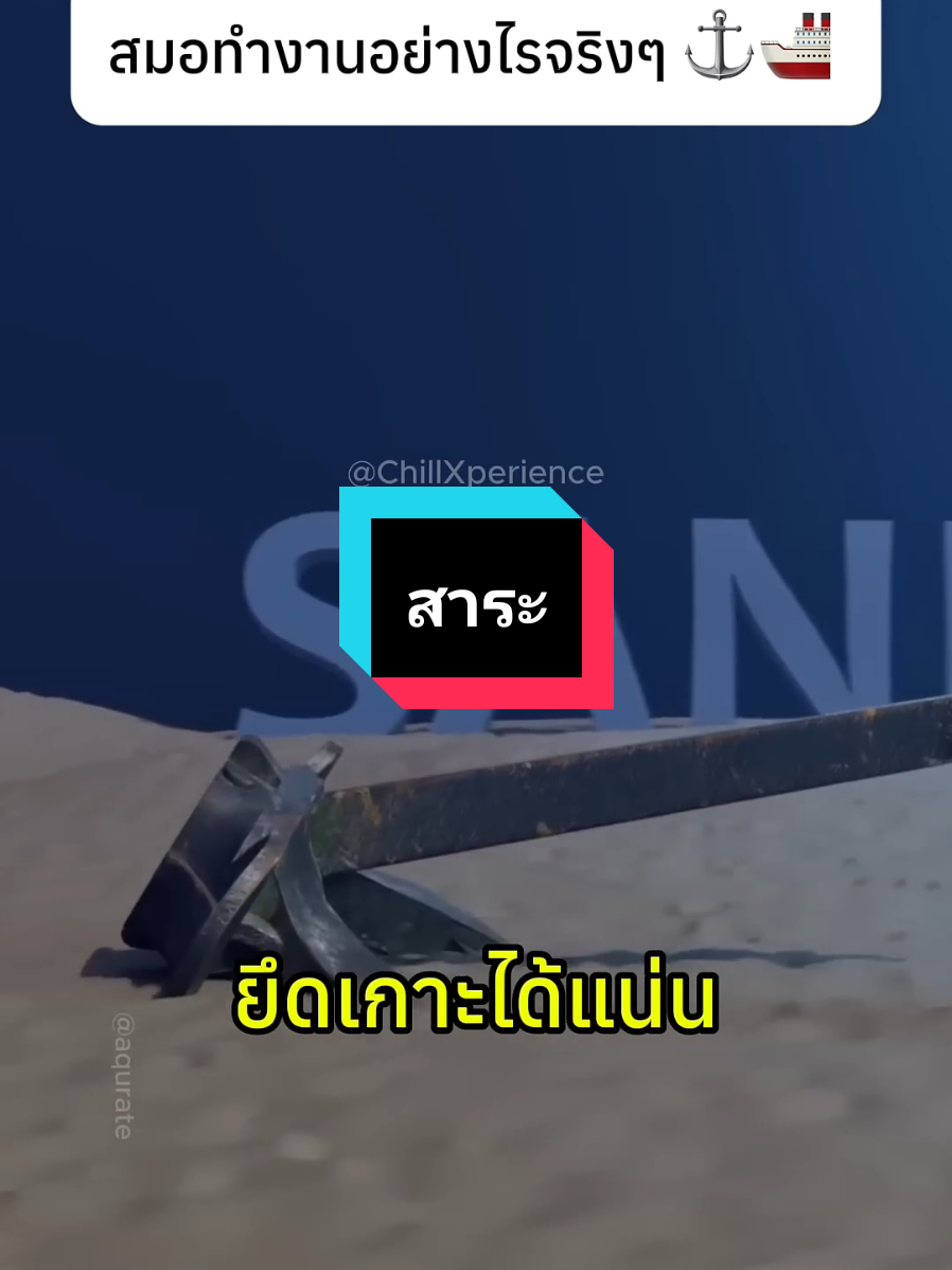 สาระ#สปอยหนัง #knowledge #shorts #สนุกสนาน #interesting 