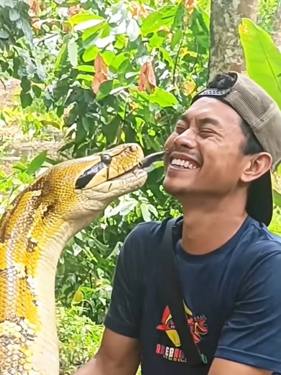 ularnya lucu 🐍