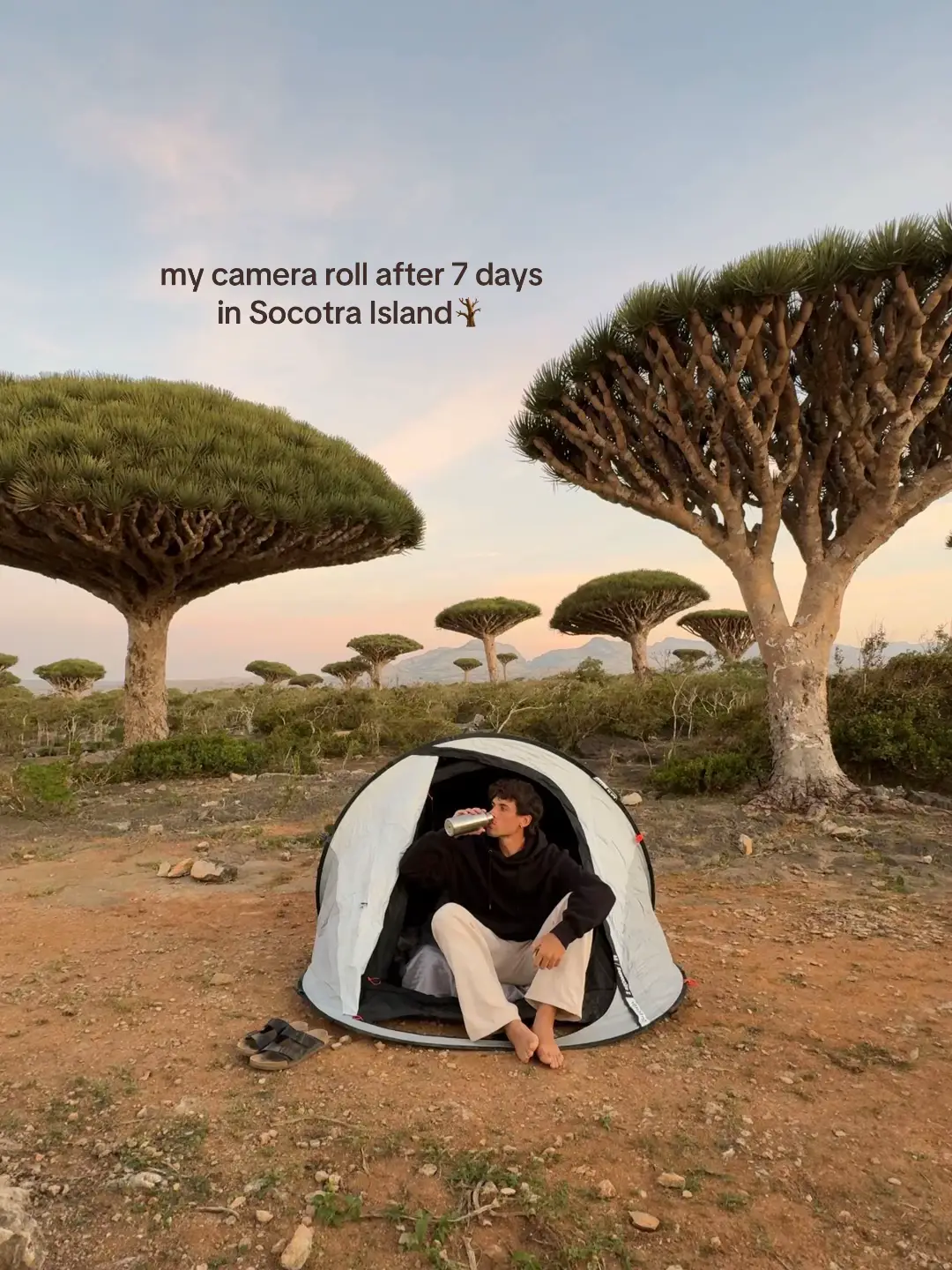 Memories to last a lifetime on the magic island 🪾✨  