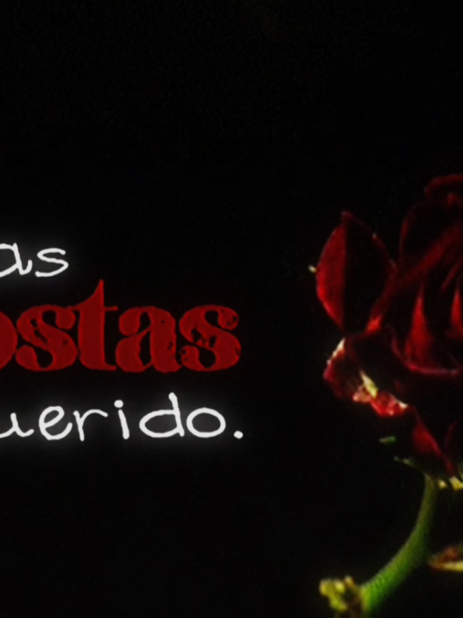 Born To Die - Lana Del Rey #fy #foryou #musica #mscvideos #lyrics 