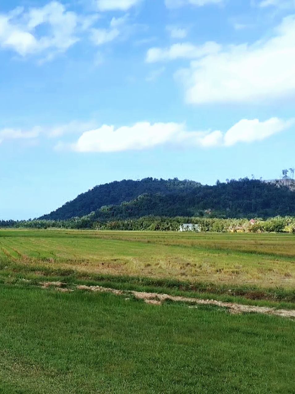 Seandainya dunia tiada warna, tetap kan ku kagumi.... #SeindahPark  @mohamad.izuan1 