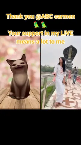 ABC carmen🦜🦜, thank you for the incredible support in my LIVE! I will keep creating better LIVE content! @ABC carmen🦜🦜 #tiktoklive #livehighlights #livegift #flowershow #moneygun 