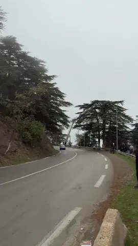 #peugeotsport #rally #sportmecanique #الجزائر🇩🇿 #coursedecote #chrea_blida09 