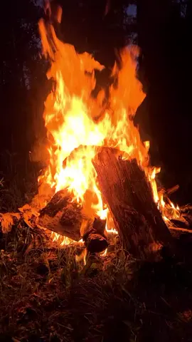 Şimdi kime desem bilmemDermansuz dertlerumiSustum olmadi diyemedumBağladiler dilumi 🍂_🤎#tasacakbudeniz #fire #camping #fyp #kesfet