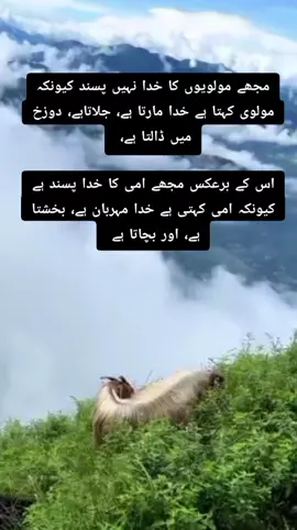 #fypシ゚viral #fyp 