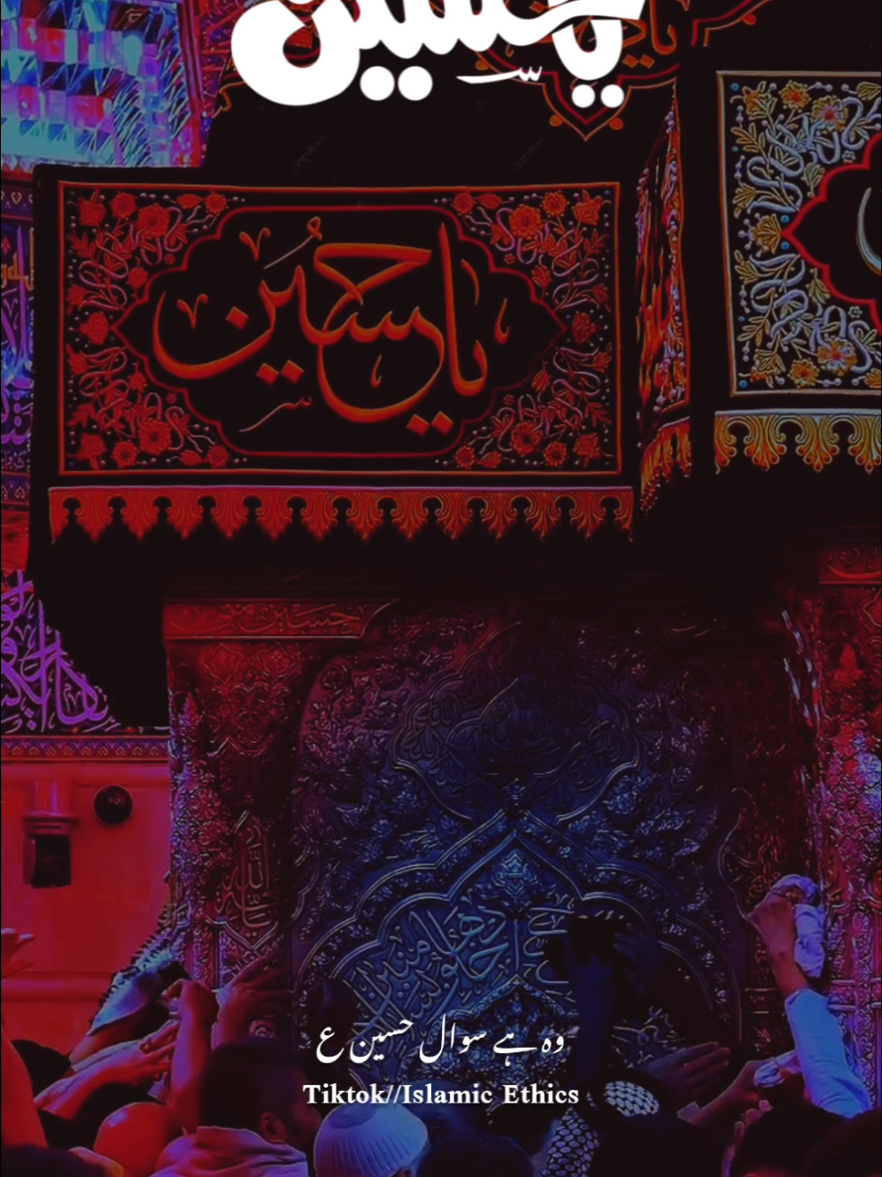 Sakhi Lajpal Hussain ع#foryou #growmyaccount #trending #viral 