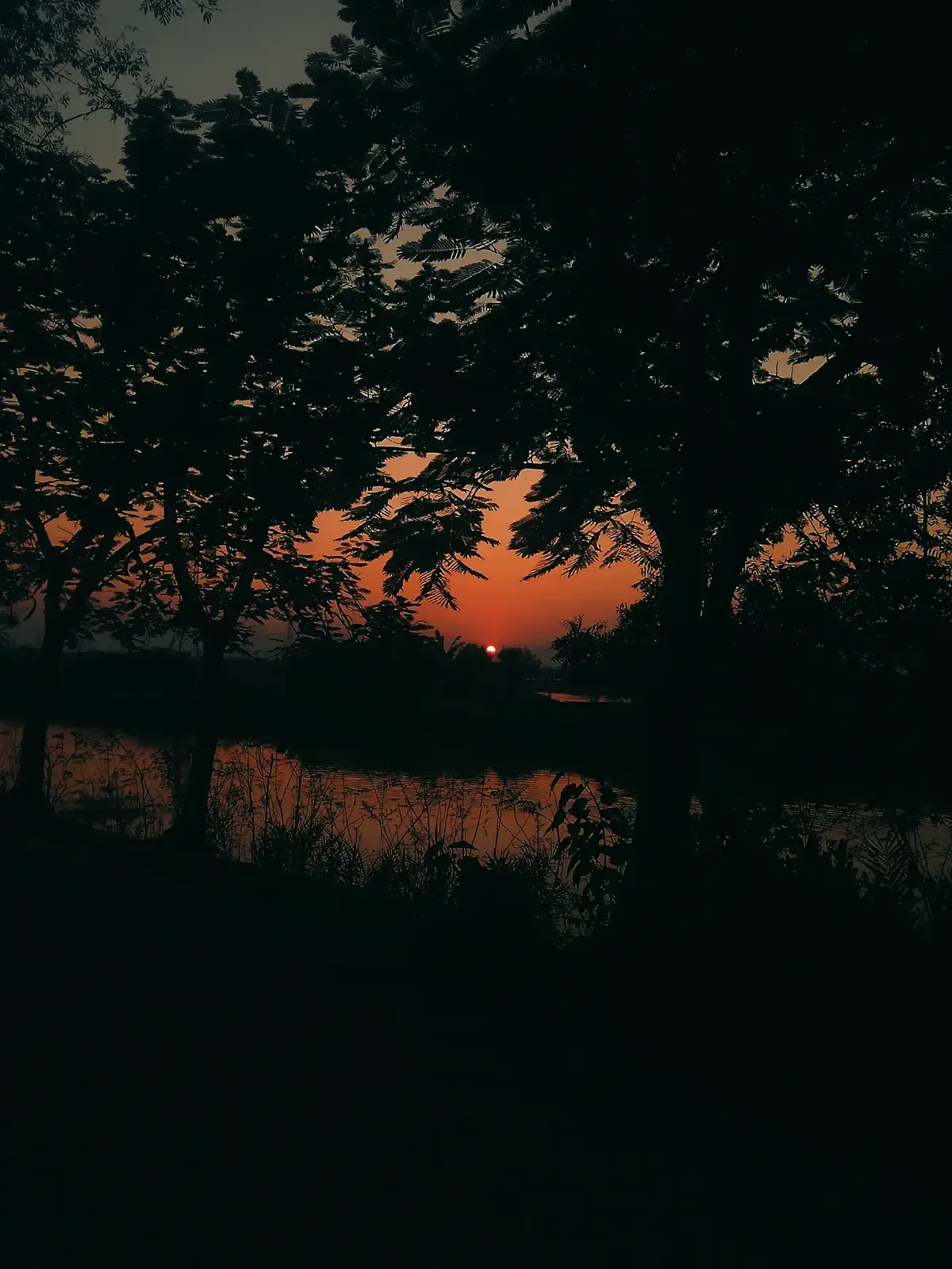 তুমি কি আমার হবে 😅❤️‍🩹 ,, #viralvideo #foryou #foryoupage #fppppppppppppppppppp 