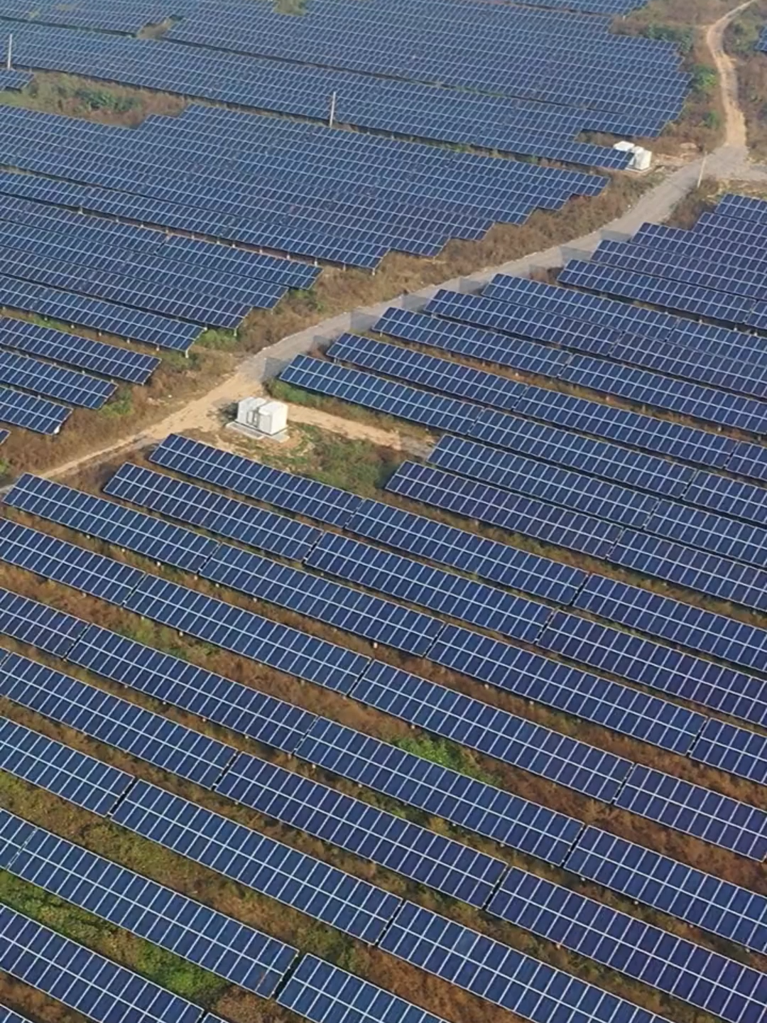 Robots limpiadores de paneles solares ☀️ China lidera la industria solar mundial y ahora también su mantenimiento. robots automatizados limpian millones de paneles con cepillos y agua, eliminando el polvo y aumentando la eficiencia energética. #energíasrenovables