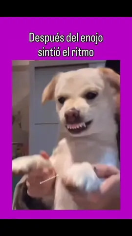 Se dejó llevar por el Ritmo Firu 😆 