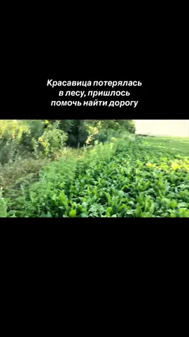 уууффф #короткиешорты #рисуемвишню #рецептпеченья #рисуемстаканвруке #велосипедки 