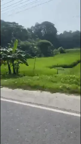 #foryou #bangladesh #tiktok #video 