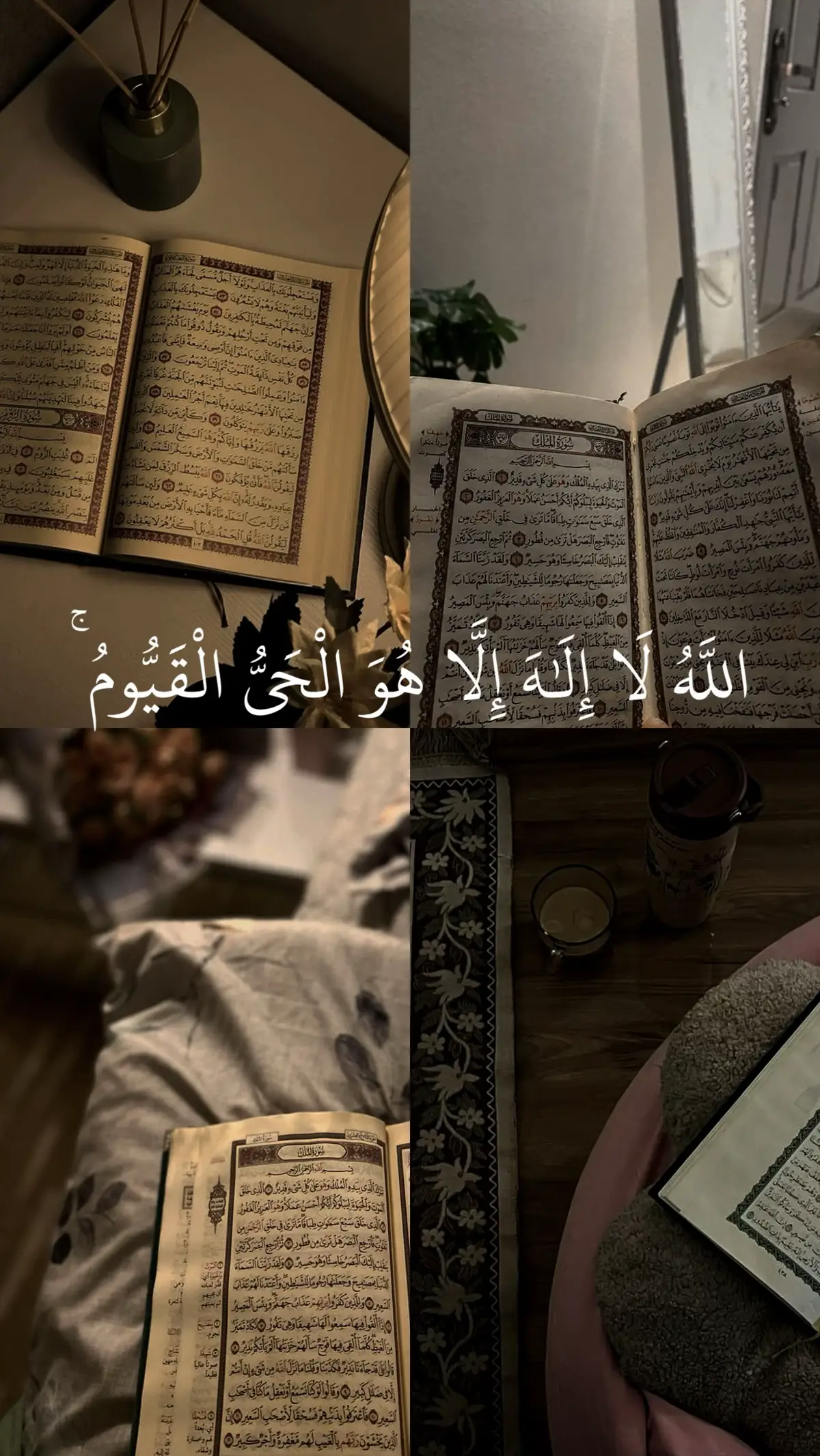 اية الكرسي. سورة الإخلاص سورة الفلق سورة الناس #سعد_الغامدي #قرآن #قران_كريم #quran_alkarim #quran 