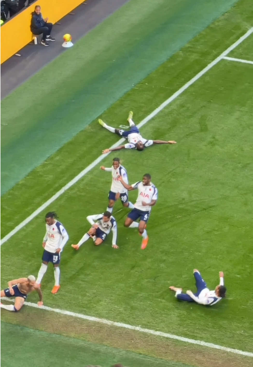 Richarlison scores and Spurs goes crazy. 🤯 #manchesterunited #tottenham  #spurs #football 